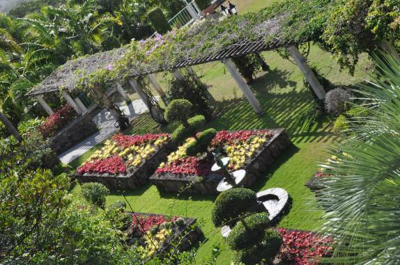 Jardim Botânico de Nevis - Caribe